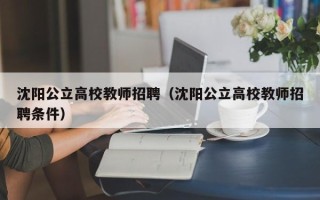 沈阳公立高校教师招聘（沈阳公立高校教师招聘条件）