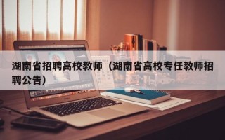湖南省招聘高校教师（湖南省高校专任教师招聘公告）