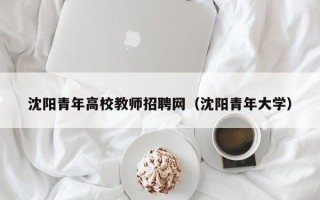 沈阳青年高校教师招聘网（沈阳青年大学）